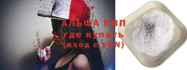 гидра Белокуриха