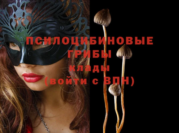 дживик Беломорск