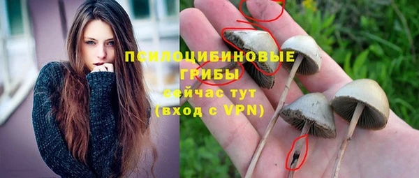 PSILOCYBIN Белоозёрский