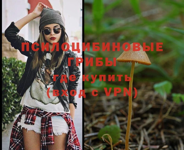 гидра Белокуриха