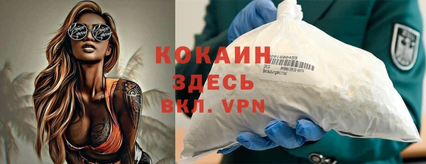 гидра Белокуриха
